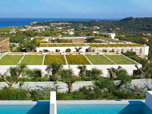 Extensive green roofs